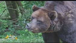 Fausto e Baloo